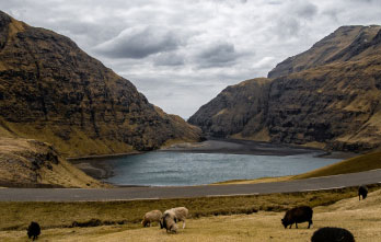 83_Faroe_Islands_Trip_Planner-Tours_4.jpg